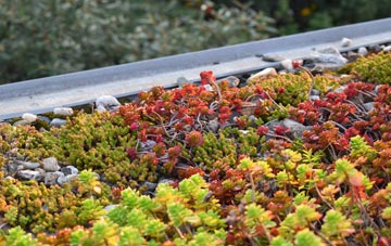 the cost of Gomshall green roof installation