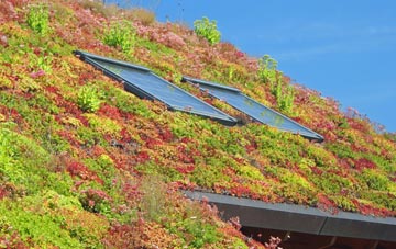 Gomshall living roof systems